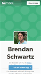Mobile Screenshot of brendanschwartz.com